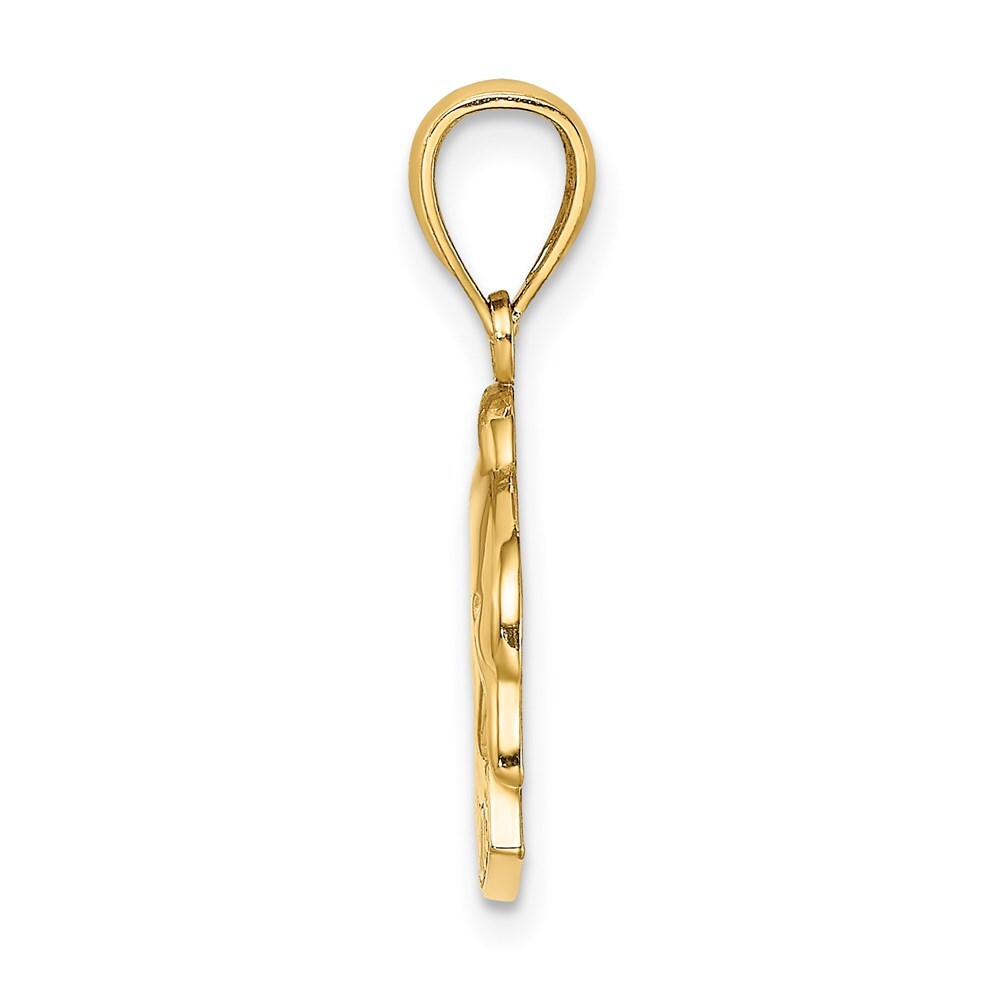 14k Yellow Gold Polished BARBADOS Dolphin Charm Pendant for Women