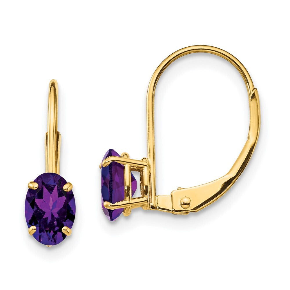 14k Yellow Gold 6x4mm Oval Amethyst Leverback Earrings Gift for Women