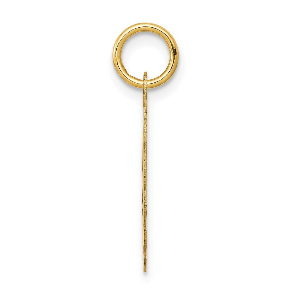 14k Yellow Gold Solid Star of David Disc Charm
