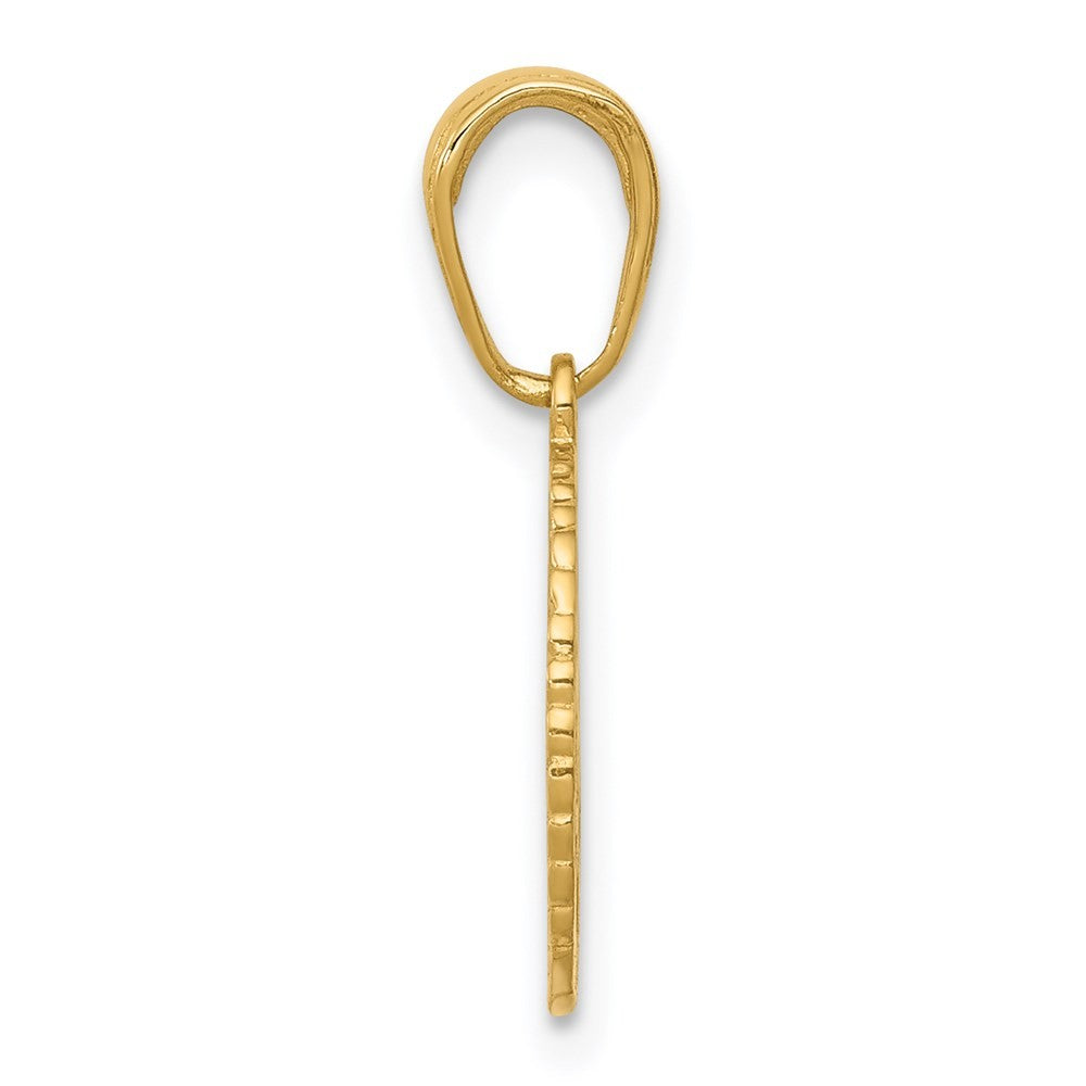 14k Yellow Gold Star of David and Chai in Circle Pendant