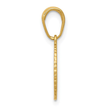 14k Yellow Gold Star of David and Chai in Circle Pendant