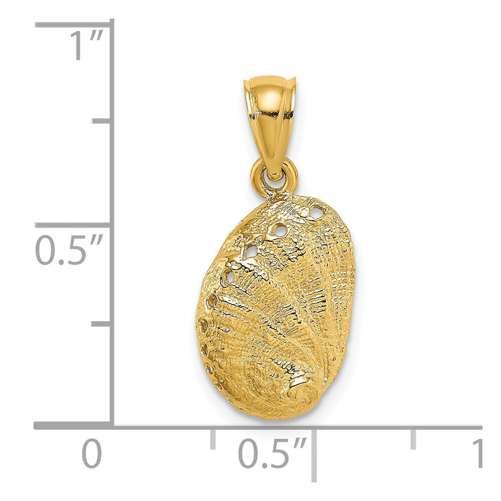 14k Yellow Gold Abalone Shell Charm Pendant for Women