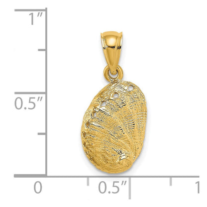 14k Yellow Gold Abalone Shell Charm Pendant for Women