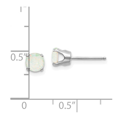 14k White Gold 5mm Opal Stud Earrings Gift for Women