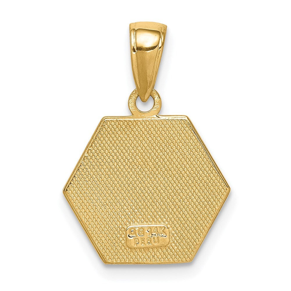 14k Yellow Gold Enameled Textured Back Medical Disk Pendant for Women