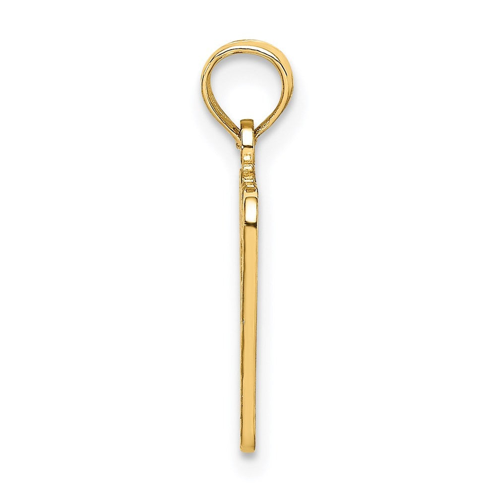 14k Yellow Gold BIRTH CERTIFICATE Charm