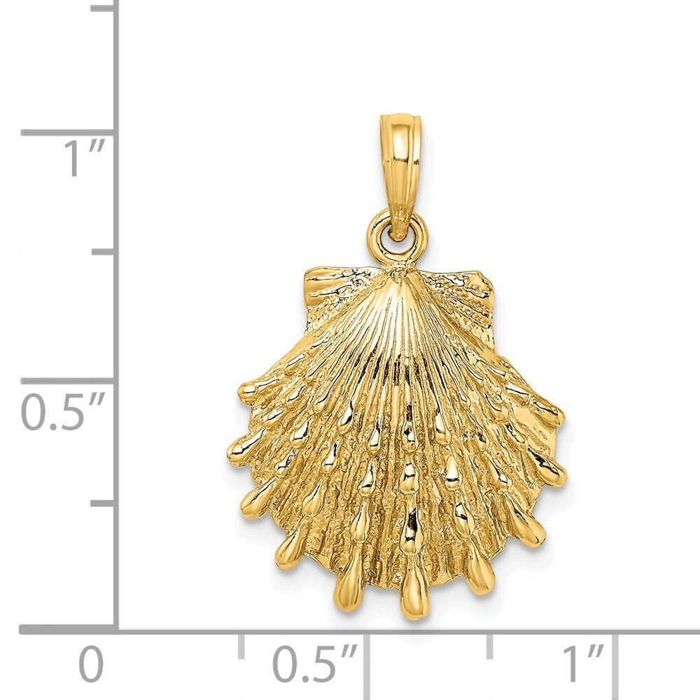 14k Yellow Gold Lions Paw Shell Charm Pendant for Women