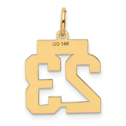 14k Yellow Gold Small Polished Number 23 Charm