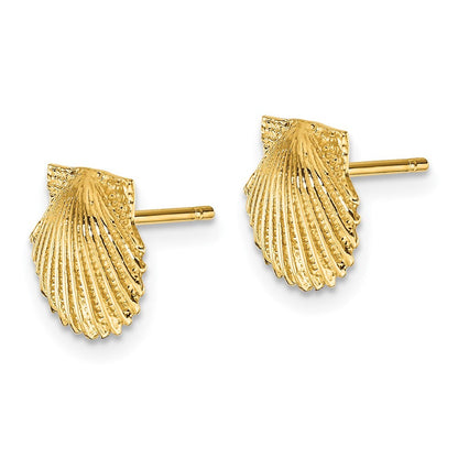 14k Yellow Gold Scallop Shell Stud Earrings Gift for Women