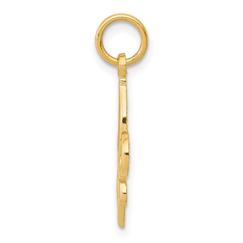 14k Yellow Gold Fleur De Lis Charm Pendant