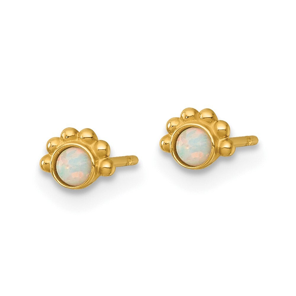 14k Yellow Gold Polished and Beaded Created Opal Stud Earrings Gift for Women