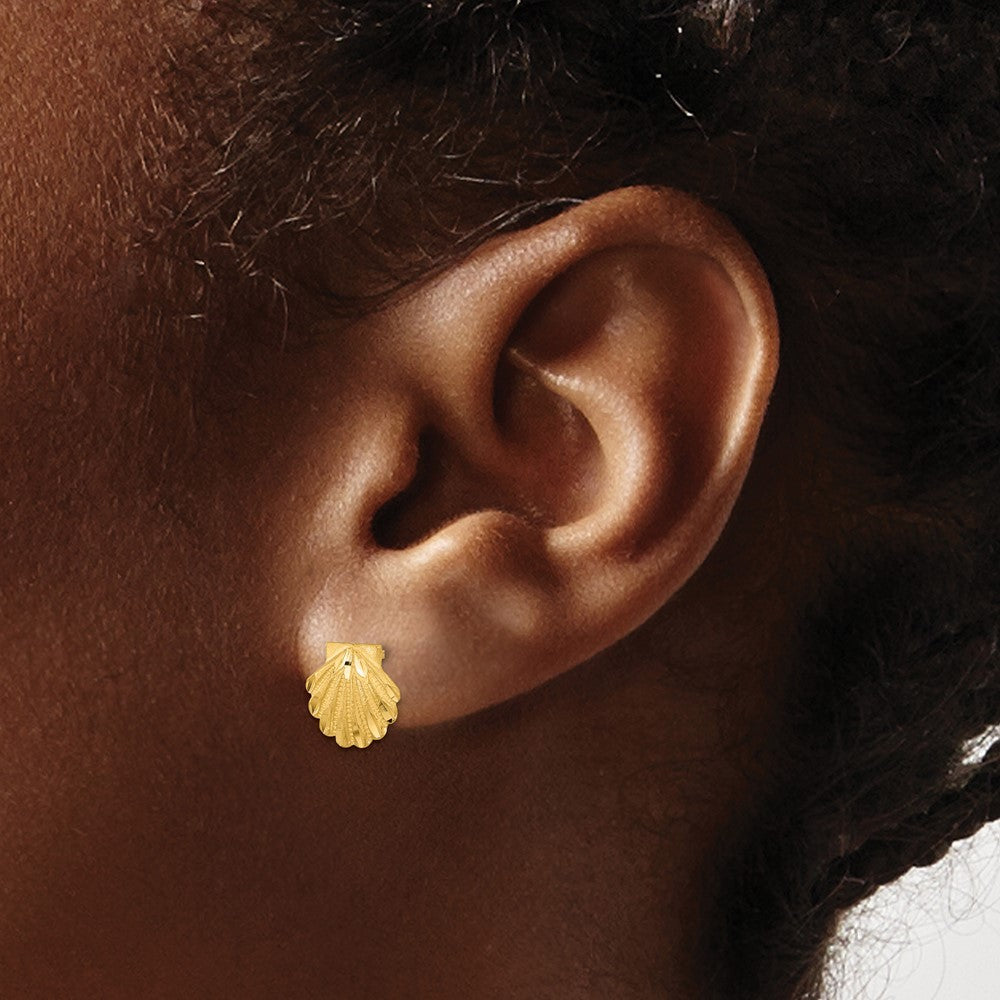 14k Yellow Gold Satin Diamond-cut Seashell Earrings