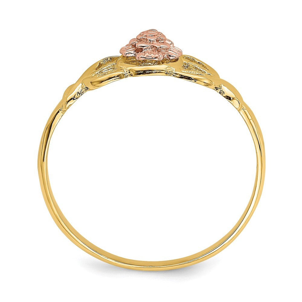 14K Two-tone Gold Polished Ring