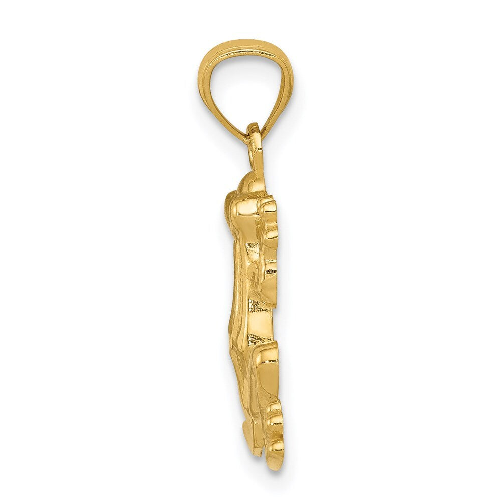 14k Yellow Gold Polished Frog Pendant for Women