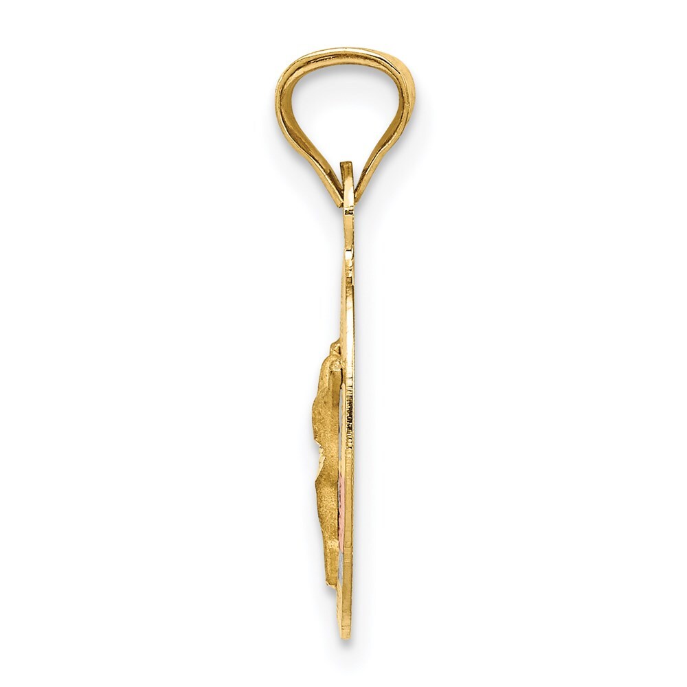 14k Yellow Gold Rose and White Rhodium Diamond-Cut Corpus Oval Pendant for Women