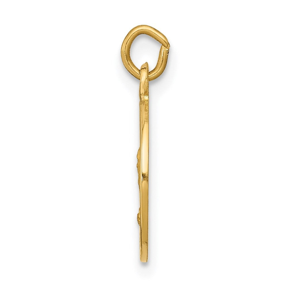 14k Yellow Gold Saint Andrew Medal Charm