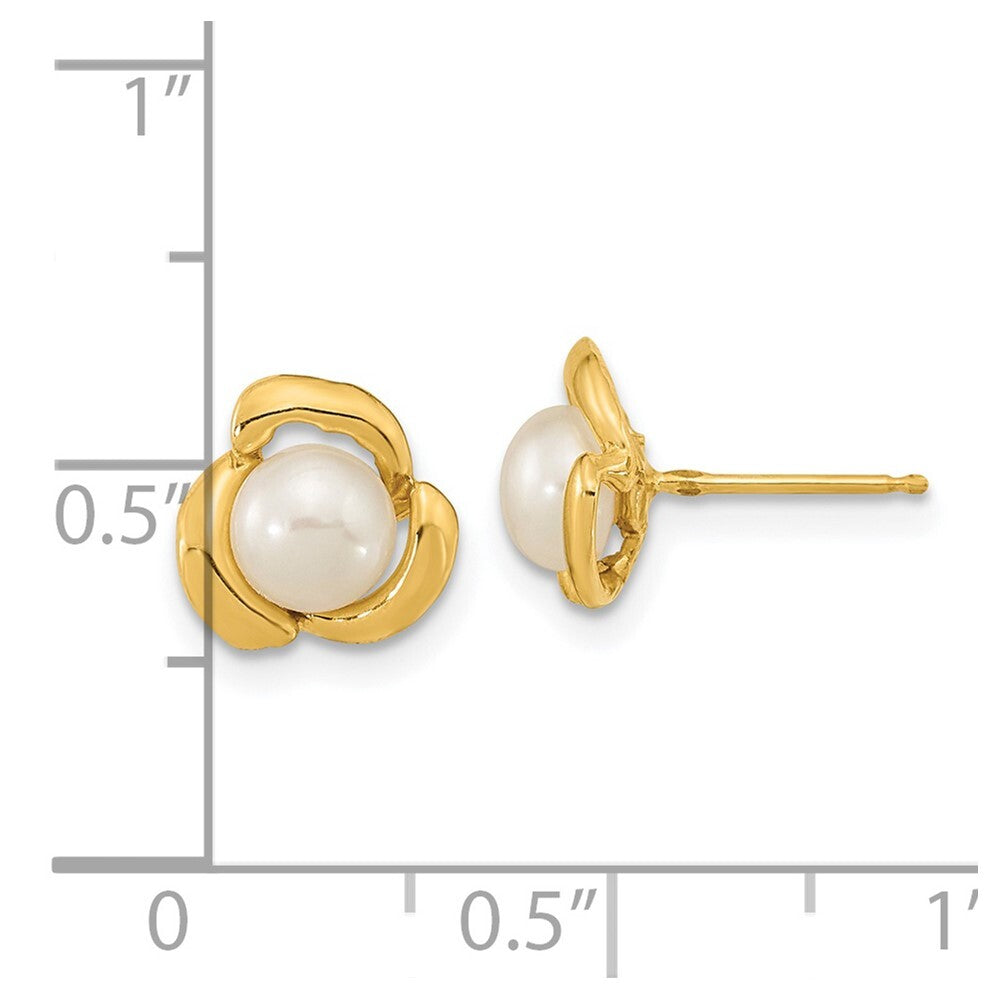 14k Yellow Gold 5-6mm White Button Freshwater Cultured Pearl Stud Earrings
