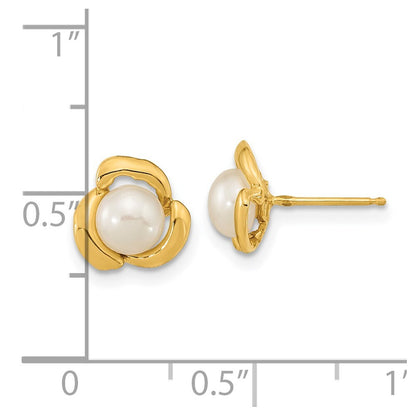 14k Yellow Gold 5-6mm White Button Freshwater Cultured Pearl Stud Earrings