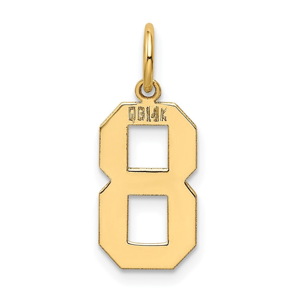 14k Yellow Gold Medium Polished Number 8 Charm