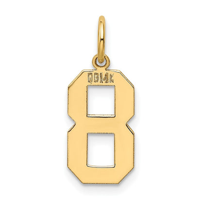 14k Yellow Gold Medium Polished Number 8 Charm