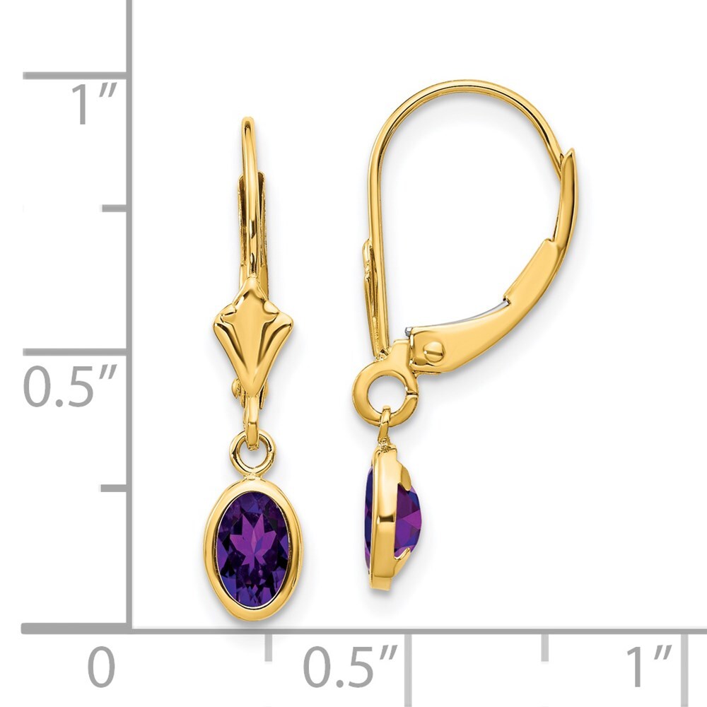 14k Yellow Gold 6x4mm February/Amethyst Stud Earrings Gift for Women