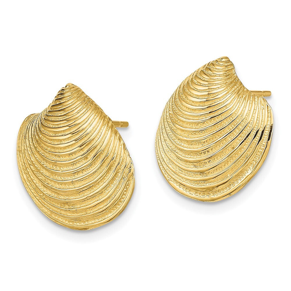 14k Yellow Gold 2-D Textured and Polished Clam Shell Stud Earrings