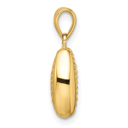 14k Yellow Gold Polished 3D Crowrie Shell Pendant for Women