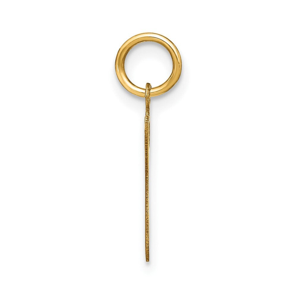 14k Yellow Gold Lower case Letter G Initial Charm Pendant