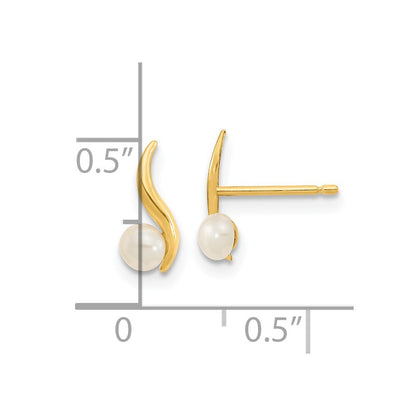 14k Yellow Gold Polished 3.25mm Freshwater Cultured Pearl Stud Earrings