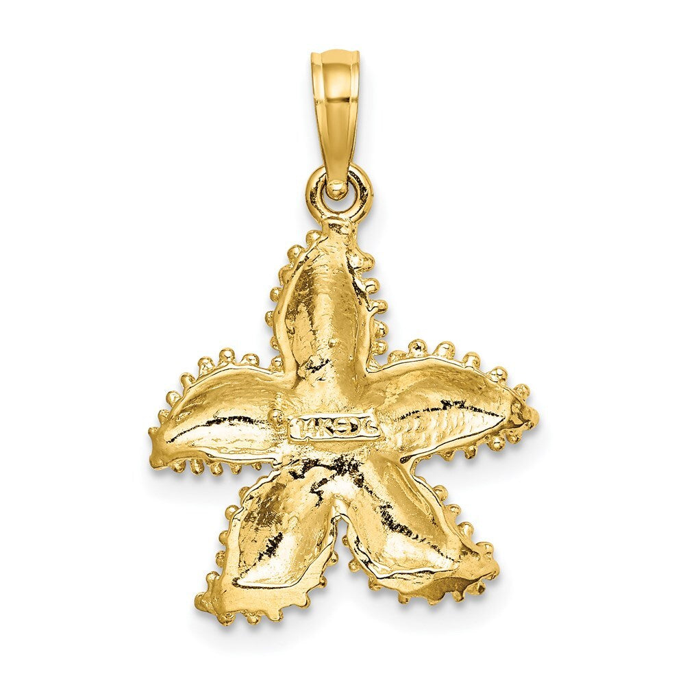14k Yellow Gold Textured Starfish Charm Pendant for Women