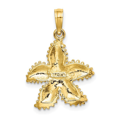 14k Yellow Gold Textured Starfish Charm Pendant for Women