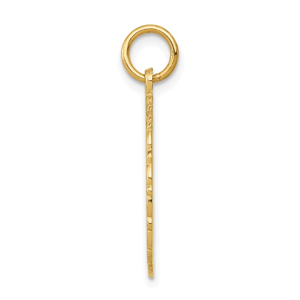 14k Yellow Gold RN Registered Nurse Disc Charm Pendant for Women