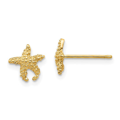 14k Yellow Gold Polished and Textured Starfish Earrings