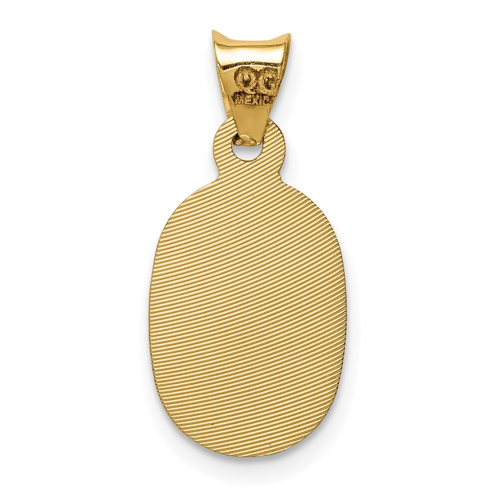 14k Yellow Gold Rhodium Diamond-Cut Lady Of Guadalupe Oval Pendant for Women