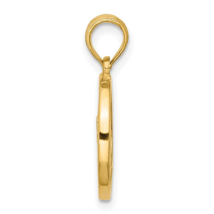 14k Yellow Gold Polished Round Capricorn Pendant for Women