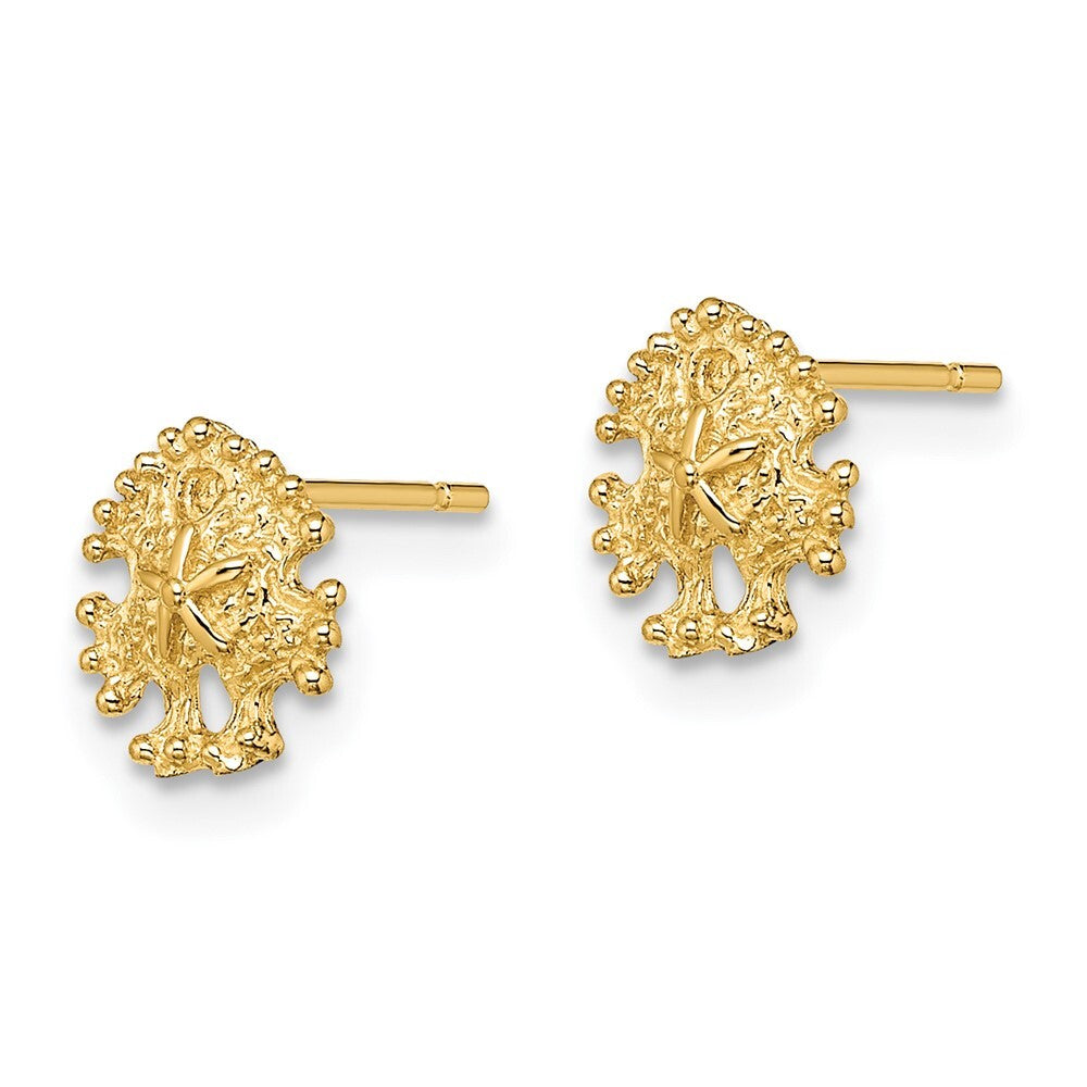 14k Yellow Gold Mini Sand Dollar Stud Earrings Gift for Women