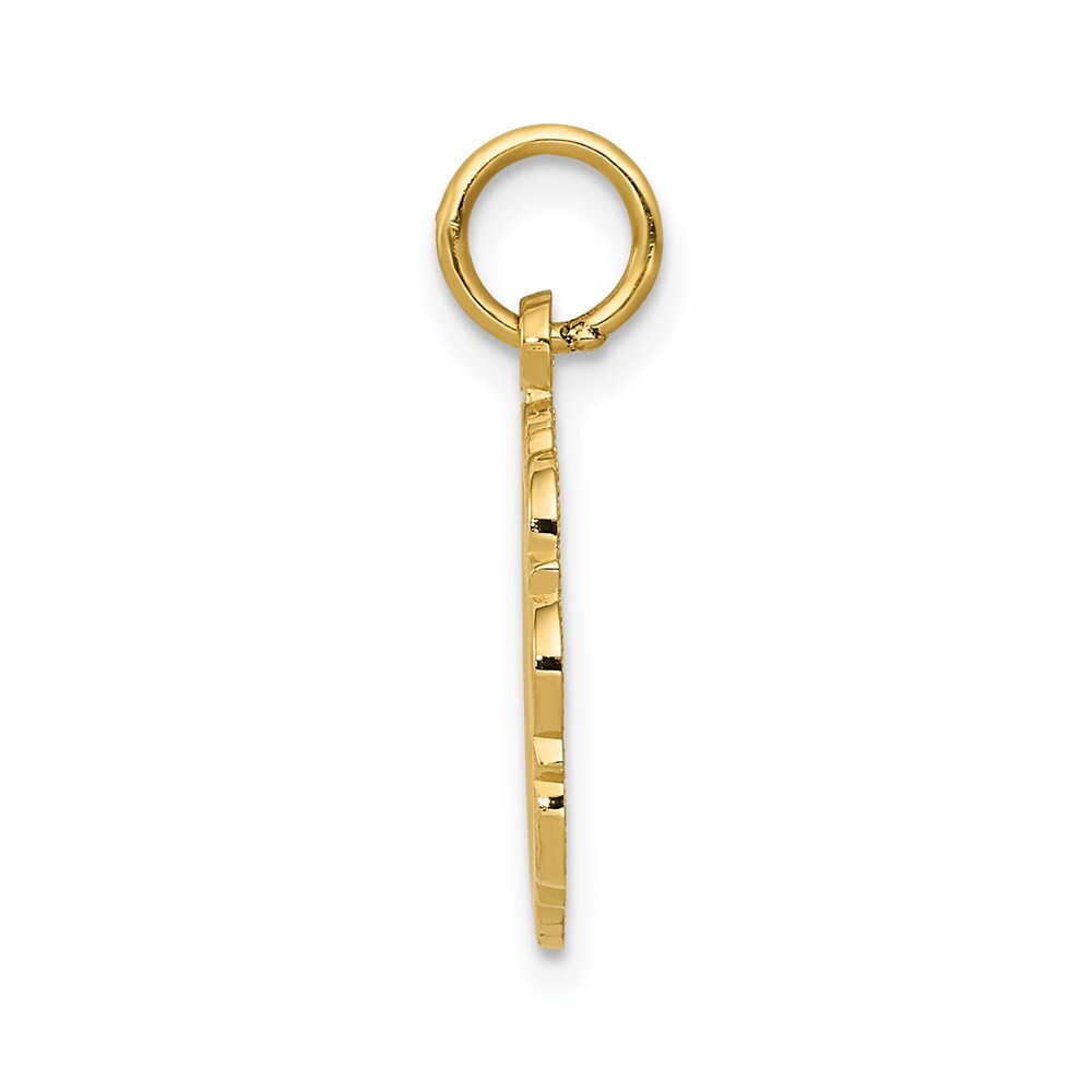 14k Yellow Gold RN Registered Nurse Disc Charm Pendant for Women