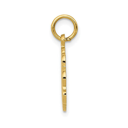 14k Yellow Gold RN Registered Nurse Disc Charm Pendant for Women