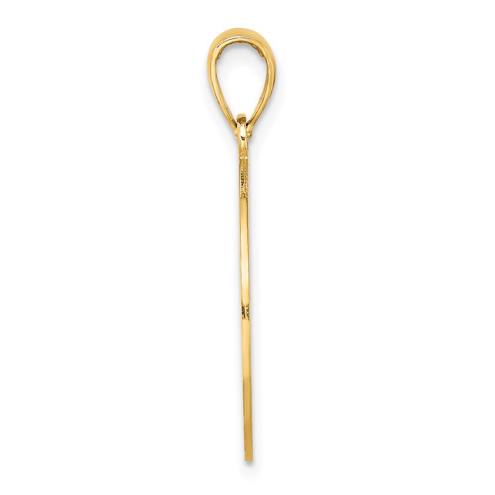 14k Yellow Gold ST. GEORGE ISLAND DOLPHINS Circle Charm