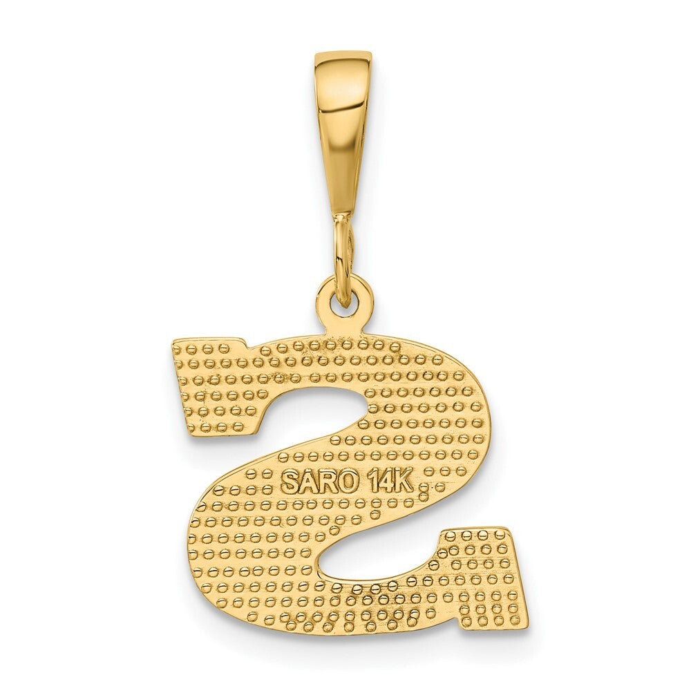 14k Yellow Gold Textured Initial S Charm Pendant for Women