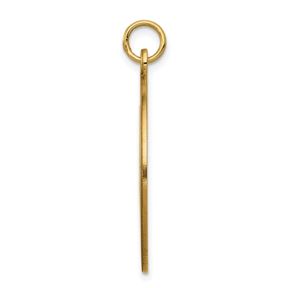 14k Yellow Gold 25mm Round Non-enameled Medical Jewelry Pendant