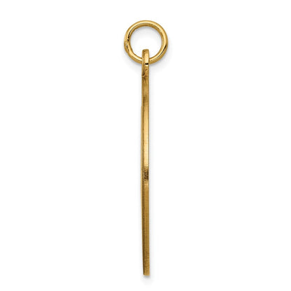 14k Yellow Gold 25mm Round Non-enameled Medical Jewelry Pendant