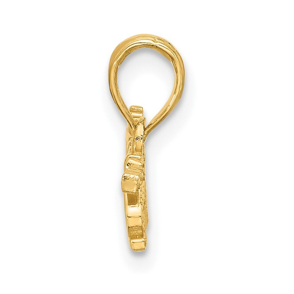 14k Yellow Gold Polished PRINCESS Charm