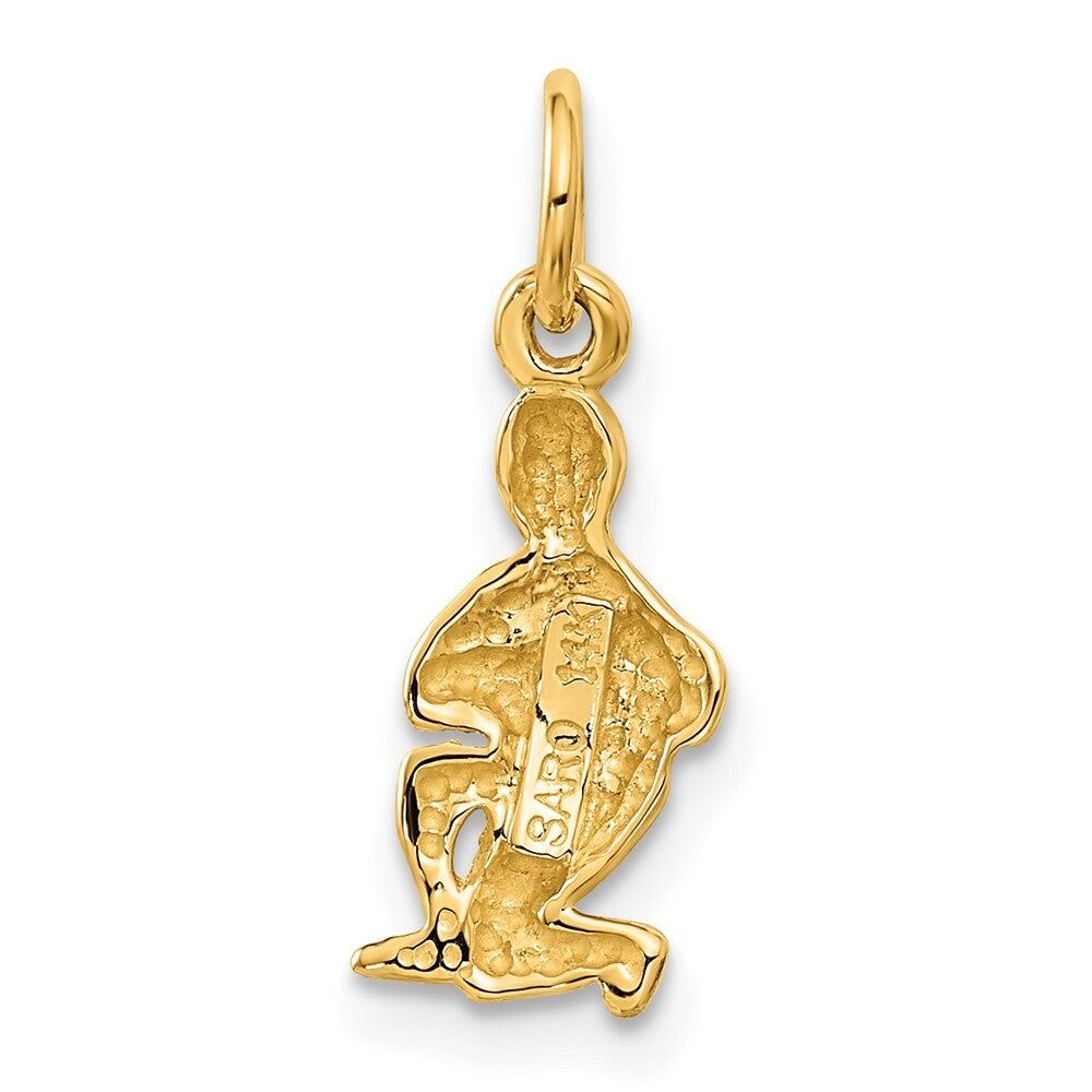 14k Yellow Gold Satin Diamond-cut Aquarius Zodiac Charm Pendant for Women