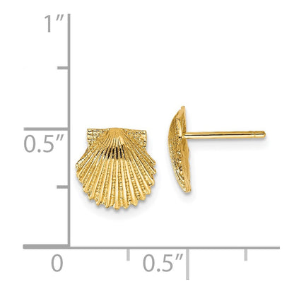 14k Yellow Gold Scallop Shell Stud Earrings Gift for Women