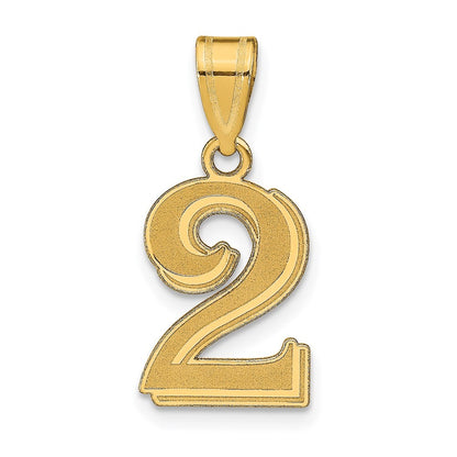 14k Yellow Gold Polished Etched Number 2 Pendant