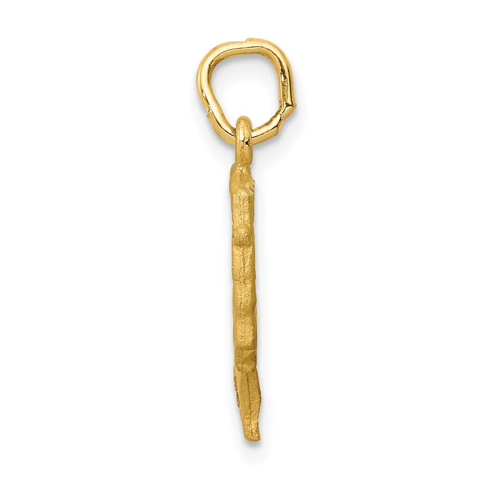 14k Yellow Gold Satin Front / Polished Back Nefertiti Charm Pendant for Women