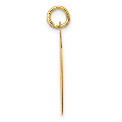 14k Yellow Gold Poodle Disc Charm Pendant