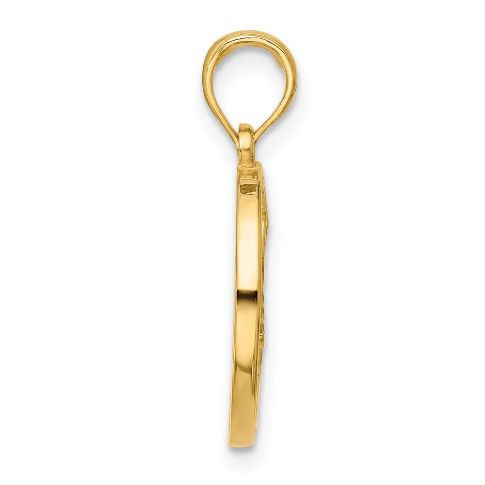 14k Yellow Gold Polished Round Scorpio Pendant for Women
