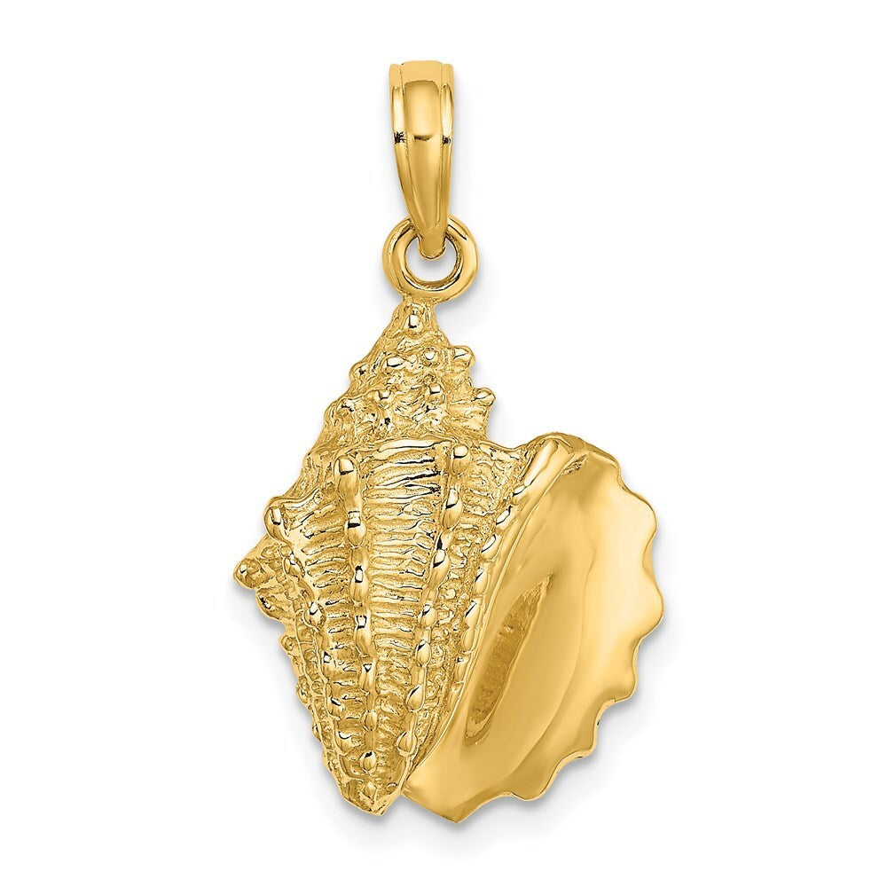 14k Yellow Gold Conch Shell Charm Pendant for Women